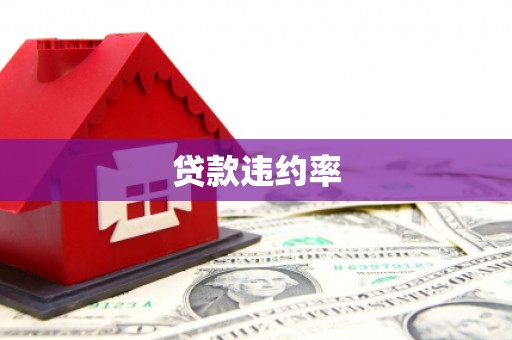 大村贷款违约率