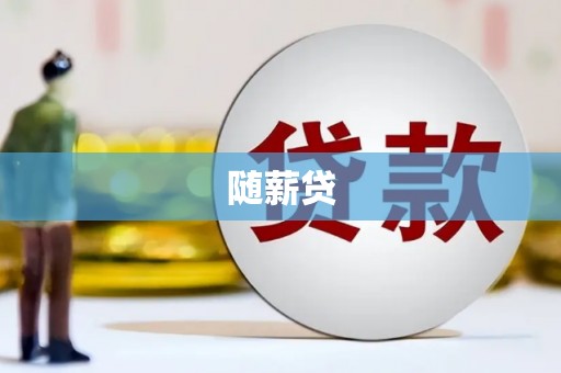大村随薪贷