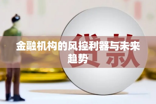 大村金融机构的风控利器与未来趋势