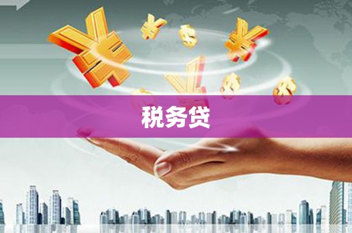 大村税务贷