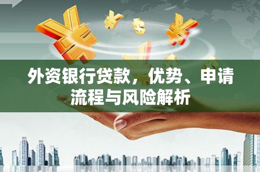 大村外资银行贷款，优势、申请流程与风险解析