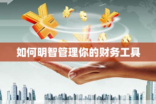 大村如何明智管理你的财务工具