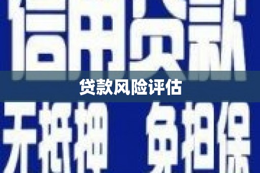 大村贷款风险评估