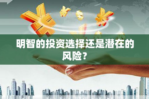 大村明智的投资选择还是潜在的风险？