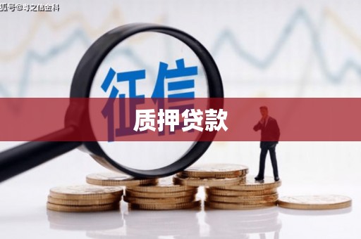 大村质押贷款