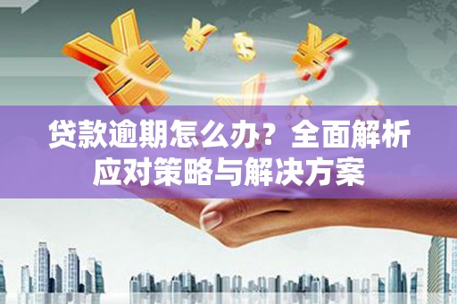 大村贷款逾期怎么办？全面解析应对策略与解决方案