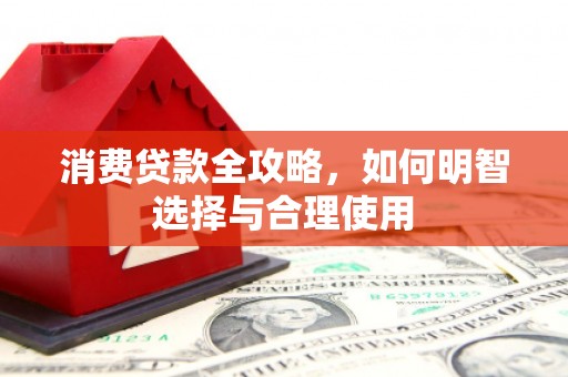 大村消费贷款全攻略，如何明智选择与合理使用