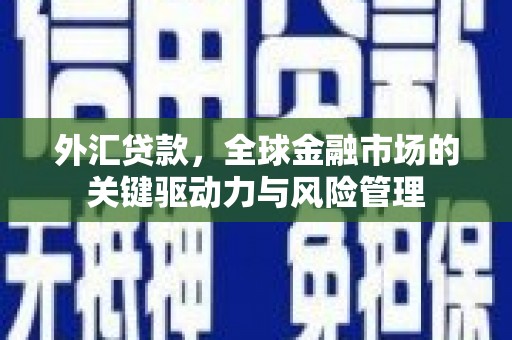 大村外汇贷款，全球金融市场的关键驱动力与风险管理