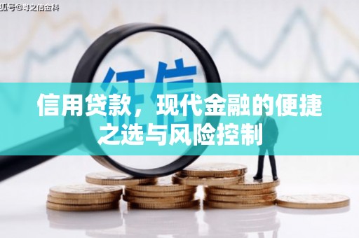 大村信用贷款，现代金融的便捷之选与风险控制