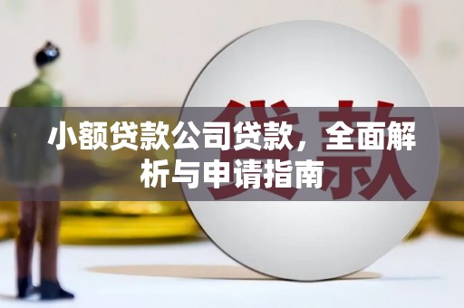 大村小额贷款公司贷款，全面解析与申请指南