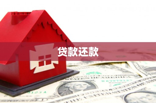 大村贷款还款
