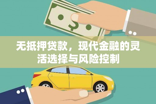 大村无抵押贷款，现代金融的灵活选择与风险控制