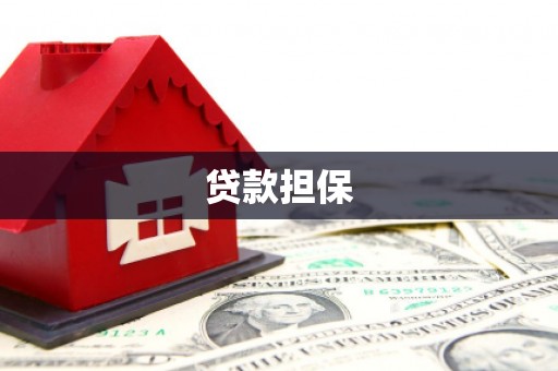 大村贷款担保