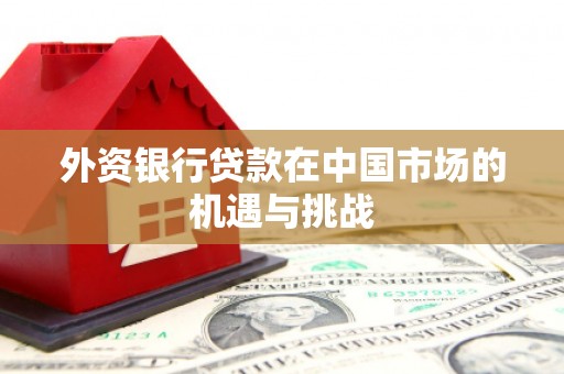 大村外资银行贷款在中国市场的机遇与挑战