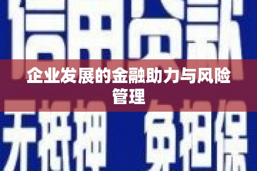 大村企业发展的金融助力与风险管理