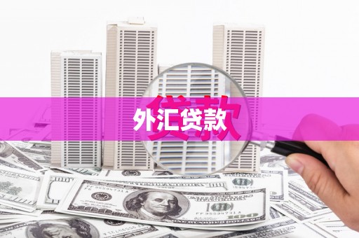 大村外汇贷款