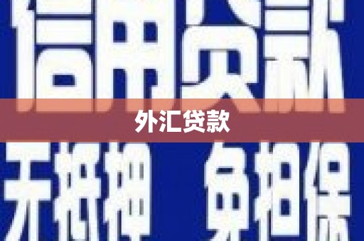 大村外汇贷款