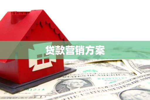 大村贷款营销方案