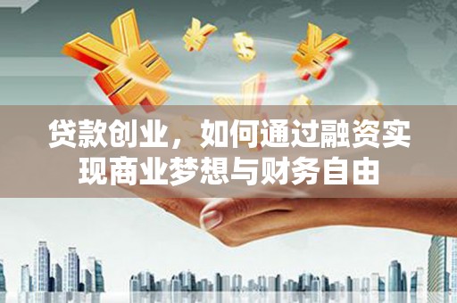 大村贷款创业，如何通过融资实现商业梦想与财务自由