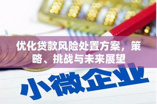 大村优化贷款风险处置方案，策略、挑战与未来展望