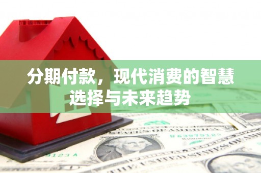 大村分期付款，现代消费的智慧选择与未来趋势