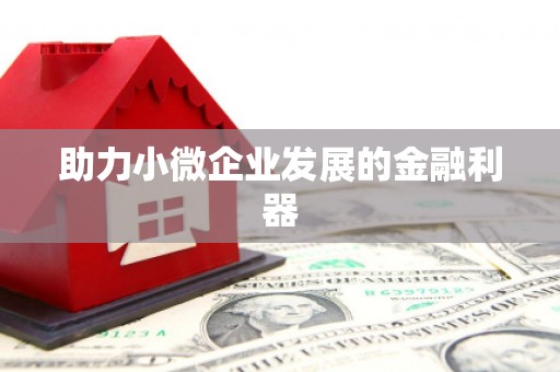 大村助力小微企业发展的金融利器