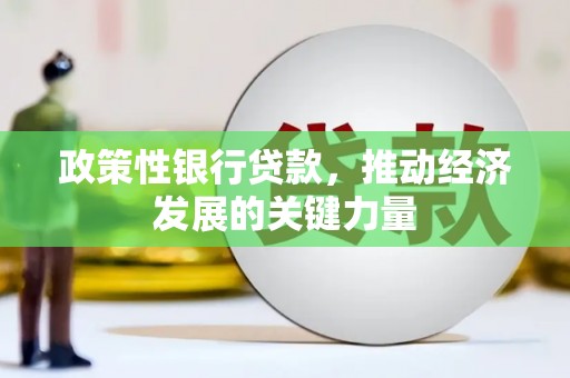 大村政策性银行贷款，推动经济发展的关键力量