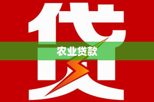 大村农业贷款