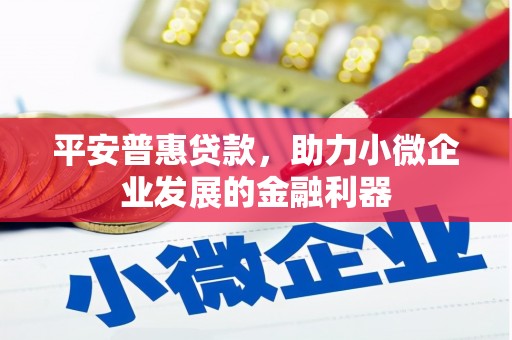 大村平安普惠贷款，助力小微企业发展的金融利器