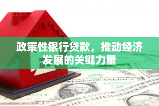 大村政策性银行贷款，推动经济发展的关键力量