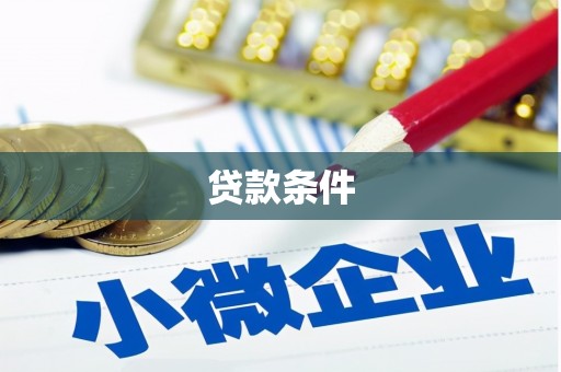 大村贷款条件