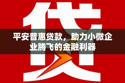 大村平安普惠贷款，助力小微企业腾飞的金融利器