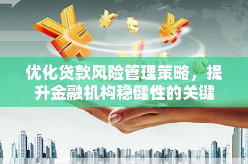 大村优化贷款风险管理策略，提升金融机构稳健性的关键