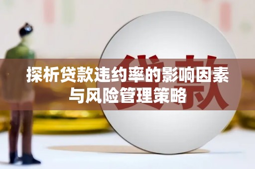 大村探析贷款违约率的影响因素与风险管理策略
