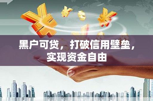 大村黑户可贷，打破信用壁垒，实现资金自由