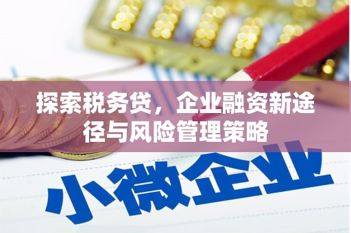 大村探索税务贷，企业融资新途径与风险管理策略