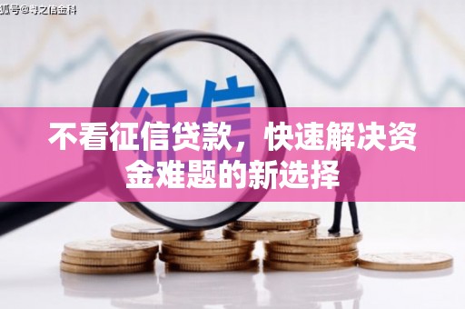 大村不看征信贷款，快速解决资金难题的新选择