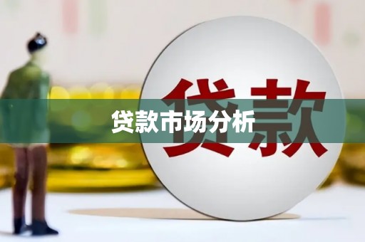 大村贷款市场分析