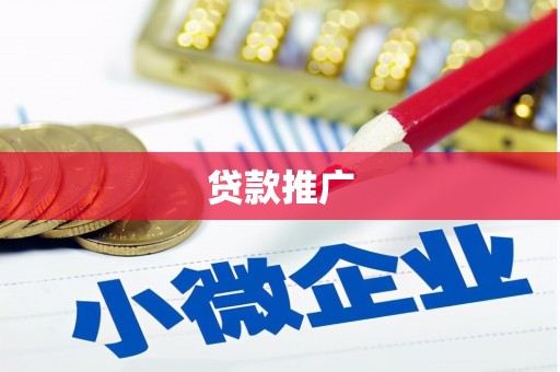 大村贷款推广
