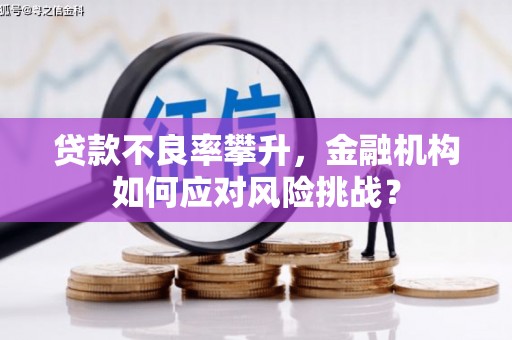 大村贷款不良率攀升，金融机构如何应对风险挑战？