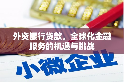 大村外资银行贷款，全球化金融服务的机遇与挑战