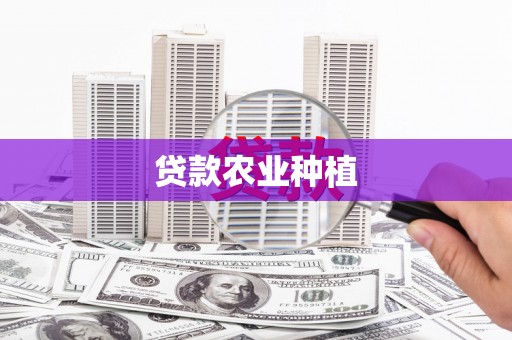 大村贷款农业种植