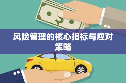 大村风险管理的核心指标与应对策略