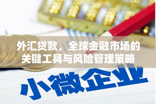 大村外汇贷款，全球金融市场的关键工具与风险管理策略
