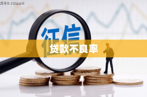 大村贷款不良率