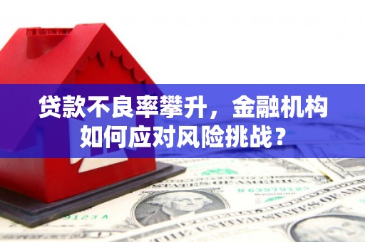 大村贷款不良率攀升，金融机构如何应对风险挑战？