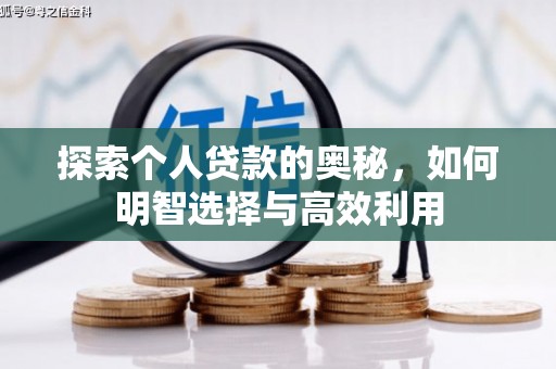 大村探索个人贷款的奥秘，如何明智选择与高效利用