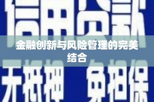 大村金融创新与风险管理的完美结合