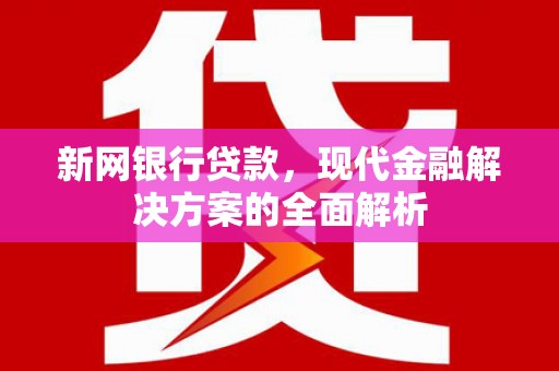 大村新网银行贷款，现代金融解决方案的全面解析