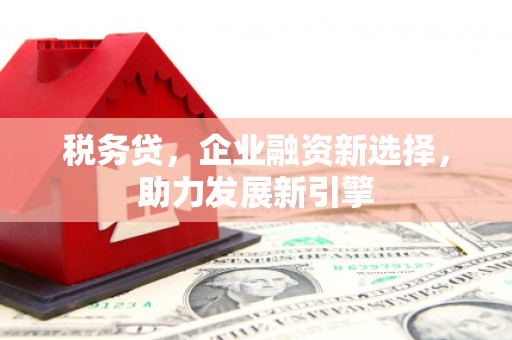 大村税务贷，企业融资新选择，助力发展新引擎